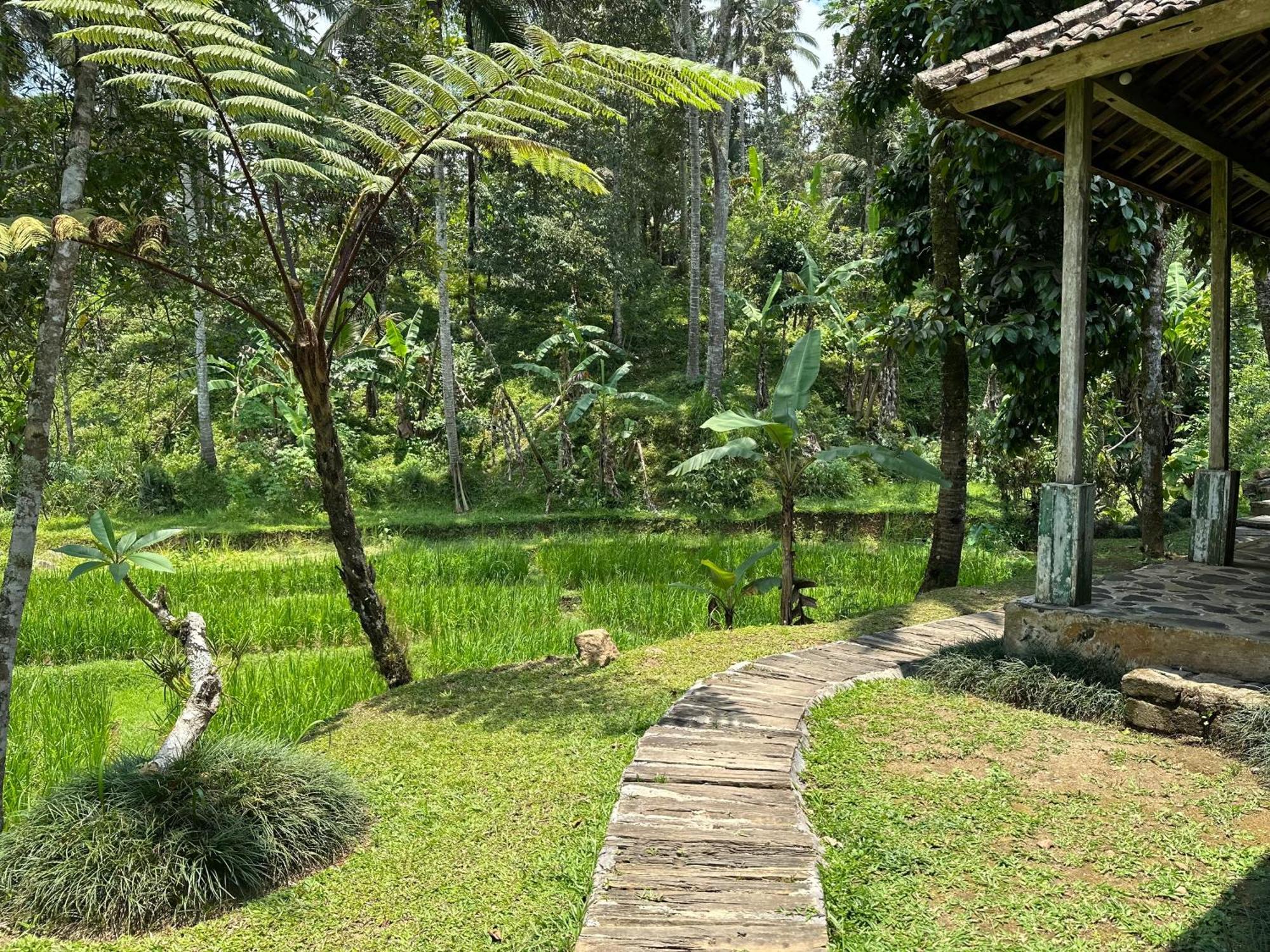 فيلا Oemah Tepi Sawah جاتيلويه المظهر الخارجي الصورة
