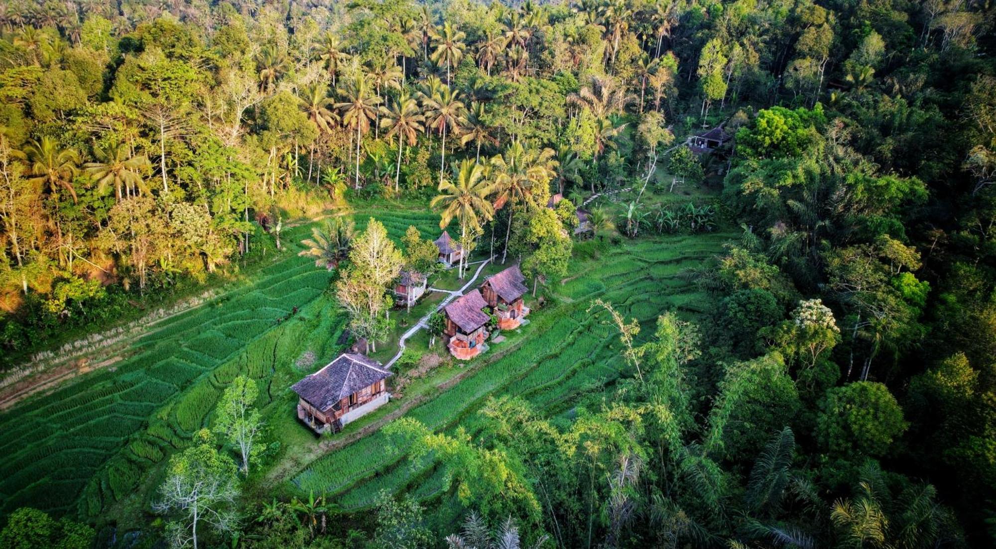 فيلا Oemah Tepi Sawah جاتيلويه المظهر الخارجي الصورة